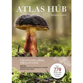 Atlas húb: Určovanie, zber, spracovanie