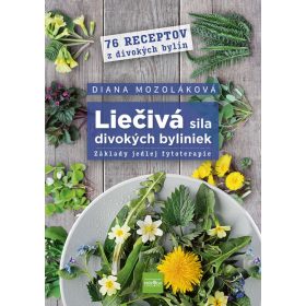  Liečivá sila divokých byliniek: Základy jedlej fytoterapie