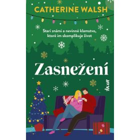 Zasnežení