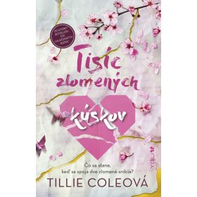 Tisíc zlomených kúskov
