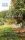 Jabloňové leto