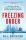 Freezing Order - A True Story of Money Laundering, Murder, and Surviving Vladimir Putin's Wrath