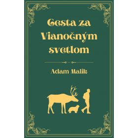 Cesta za Vianočným svetlom