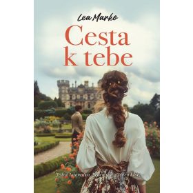 Cesta k tebe