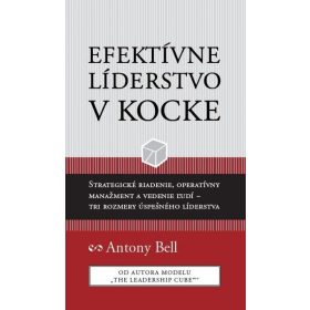 Efektívne líderstvo v kocke
