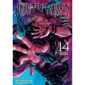   Jujutsu Kaisen - Prokleté války 14: Správně se rozhodnout