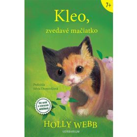 Kleo, zvedavé mačiatko